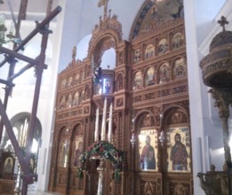 Catapeteasma Catapeteasma